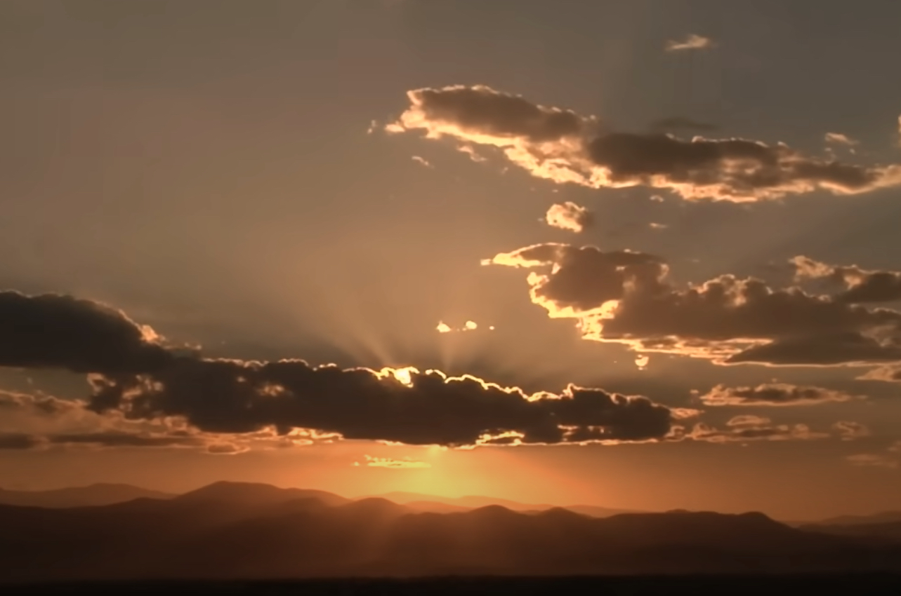 Neurological Responses